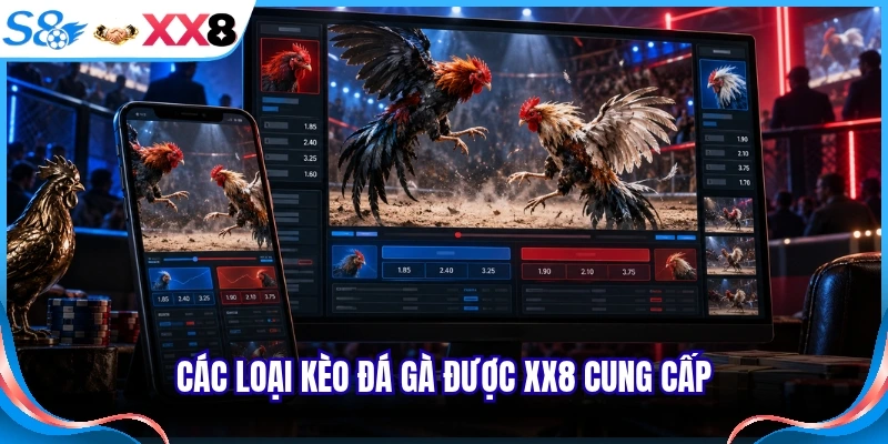 Các loại kèo đá gà được XX8 cung cấp