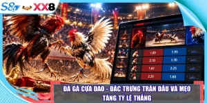 Đá gà cựa dao