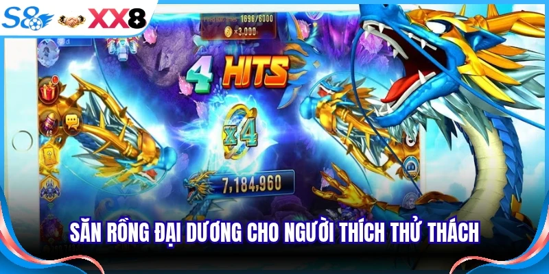 Săn rồng đại dương cho người thích thử thách
