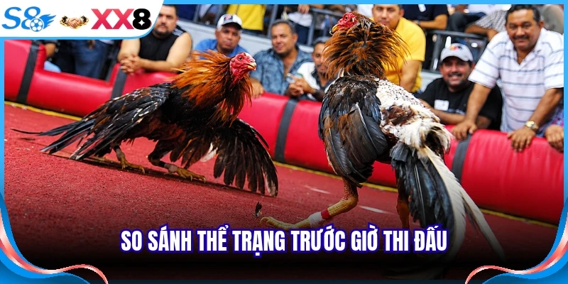 So sánh thể trạng trước giờ thi đấu